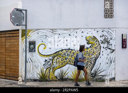 Murale Jaguar dipinto su una casa nel quartiere Centro di Merida Yucatan Messico Foto Stock