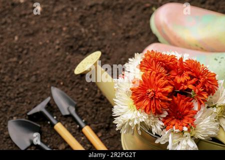 Attrezzi da giardinaggio, stivali e fiori su terreno fresco, primo piano. Spazio per il testo Foto Stock