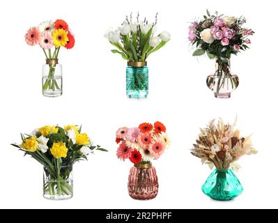 Collage con vari bellissimi fiori in vasi di vetro su sfondo bianco Foto Stock
