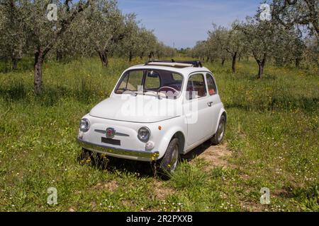 Immagine di una vecchia Fiat 500 italiana d'epoca parcheggiata nel mezzo di un campo verde. Firenze Italia 05-05-2023 Foto Stock