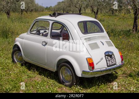 Immagine di una vecchia Fiat 500 italiana d'epoca parcheggiata nel mezzo di un campo verde. Firenze Italia 05-05-2023 Foto Stock