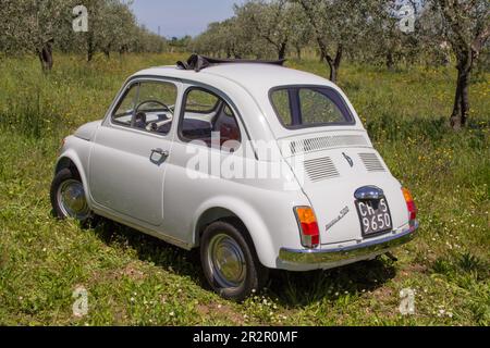 Immagine di una vecchia Fiat 500 italiana d'epoca parcheggiata nel mezzo di un campo verde. Firenze Italia 05-05-2023 Foto Stock