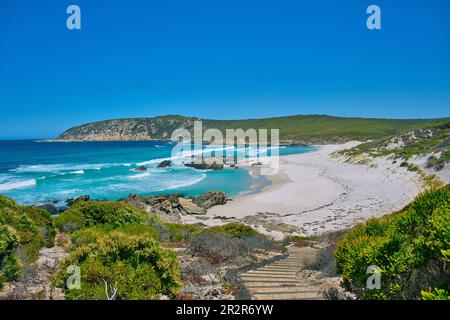 Mare turchese, dune e un sentiero per la spiaggia: West Beach, lungo l'Hakea Trail nel Fitzgerald River National Park, costa meridionale Australia occidentale Foto Stock