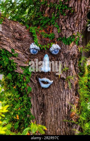 Gli alberi di fronte, bocca labbra, naso e gli occhi sul tronco dell'albero ancora vita. Foto Stock