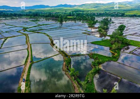 Kocani. 20th maggio, 2023. Questa foto aerea scattata il 20 maggio 2023 mostra una vista delle risaie a Kocani, circa 100 chilometri a est di Skopje, Macedonia settentrionale. Credit: Tomislav Georgiev/Xinhua/Alamy Live News Foto Stock