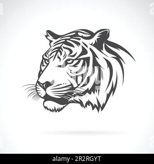 Vettore della testa della tigre su sfondo bianco. Animali selvatici. Illustrazione vettoriale a strati facilmente modificabile. Illustrazione Vettoriale