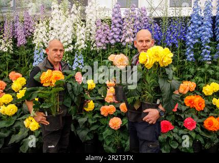 Londra, Regno Unito. 212 maggio, 2023. Costruzione finale al RHS Chelsea Flower Show. Gli espositori hanno messo i ritocchi alle loro esposizioni in vista della Giornata della Stampa e della visita di S.A.R. Re Carlo III e della Regina Camilla domani. La Mostra dei Fiori si svolge dal 22nd maggio al 27th maggio. Credit: Karl Black/Alamy Live News Foto Stock