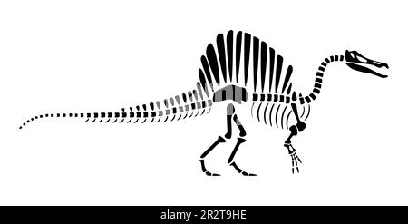 Scheletro dello Spinosauro . Silhouette dinosauri . Vista laterale . Vettore . Illustrazione Vettoriale