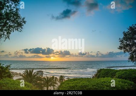 Spiaggia attraverso alberi e palme al tramonto. Panoramica costa del Mar Mediterraneo, spiaggia di sabbia a Netanya, Israele Foto Stock