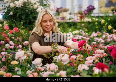 Londra, Regno Unito. 212 maggio, 2023. Costruzione finale al RHS Chelsea Flower Show. Gli espositori hanno messo i ritocchi alle loro esposizioni in vista della Giornata della Stampa e della visita di S.A.R. Re Carlo III e della Regina Camilla domani. La Mostra dei Fiori si svolge dal 22nd maggio al 27th maggio. Credit: Karl Black/Alamy Live News Foto Stock