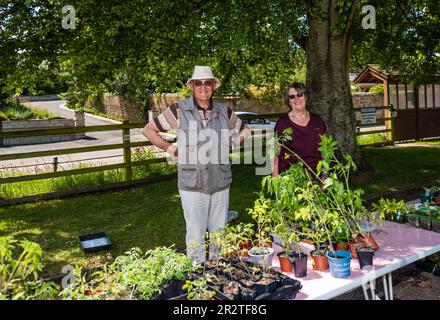 East Budleigh in Bloom Plant sale. Un villaggio situato nel cuore della contea di Devon. Foto Stock