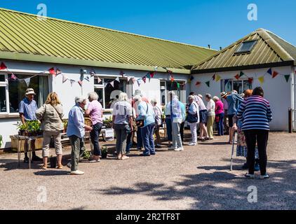 East Budleigh in Bloom Plant sale. Un villaggio situato nel cuore della contea di Devon. Foto Stock