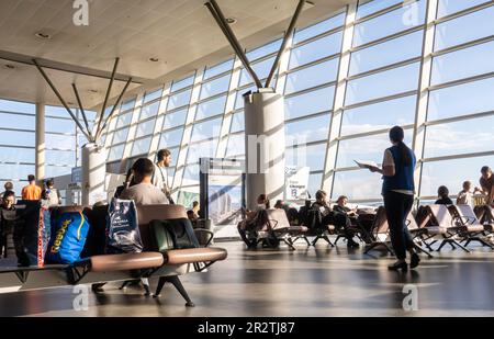 Area d'attesa dell'aeroporto internazionale di Tbilisi, TBS, Tbilisi, Georgia Foto Stock