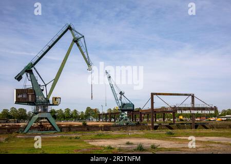 Gru e l'installazione d'arte Vedi le cose dall'altra parte di Tim Etchells su un vecchio ponte di carico nel porto del Reno Deutz, Colonia, Germania. KR Foto Stock