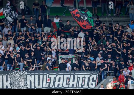 Nijmegen, Paesi Bassi. 21st maggio, 2023. NIJMEGEN, PAESI BASSI - MAGGIO 21: NEC Nijmegen tifosi durante la partita di Eredivie tra NEC Nijmegen e AZ Alkmaar a Goffertstadion il 21 Maggio 2023 a Nijmegen, Paesi Bassi (Foto di Broer van den Boom/Orange Pictures) Credit: Orange Pics BV/Alamy Live News Foto Stock