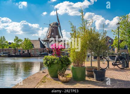 Scenario con storico mulino a vento olandese e piante sul canale nella città di Meppel Foto Stock