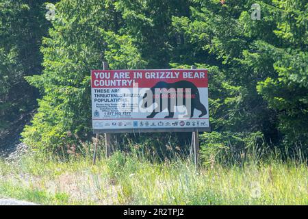 British Columbia, Canada-Agosto 2022; Vista di grande segno accanto alla strada che avverte che è illegale sparare grizzly orsi come sono in pericolo Foto Stock