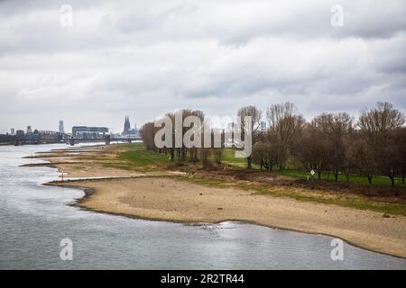 Livello del Reno di 2,12 m il 24 febbraio 2023, le rive del fiume Reno a Colonia-poll, vista sul porto Rheinau e la cattedrale, Colonia, Germania. Foto Stock