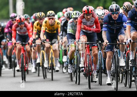 BERGAMO, ITALIA - Maggio 21: Bauke Mollema dei Paesi Bassi e Team Trek - Segafredo gareggiano durante il giro d'Italia 106th, tappa 15 a 195km tappa da Seregno a Bergamo / #UCIWT / il 2023 21 maggio 2023 a Seregno, Italia. Photo Tiziano Ballabio Credit: Tiziano Ballabio/Alamy Live News Foto Stock