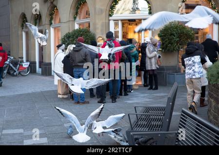 La gente si allinea fuori dal Cafe Reichard vicino alla cattedrale il 4th ° fine settimana di Avvento, mentre gabbiani volano sopra la testa, Colonia, Germania. Menschen Foto Stock