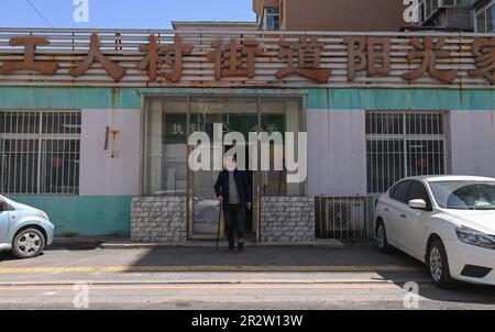 (230521) -- SHENYANG, 21 maggio 2023 (Xinhua) -- Zhao Qiang cammina fuori a Shenyang, provincia di Liaoning della Cina nord-orientale, 18 aprile 2023. Quando Zhao Qiang aveva due anni, sviluppò una malattia che gradualmente risultò una disparità di 23 centimetri tra due gambe. Fissò uno sgabello sulla suola del piede sinistro su suggerimento della sua famiglia e si adattò a camminare con esso. Zhao Qiang ha dovuto abbandonare presto a causa della malattia, ma dopo un duro lavoro, è stato ammesso alla Northeastern University, laureandosi in computer per l'istruzione continua. Zhao Qiang ha lavorato per i disabili dal 2008, b Foto Stock