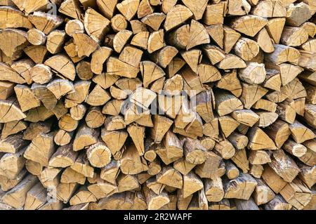 Questa foto mostra un primo piano di una pila di legna da ardere tagliata di recente pronta per l'uso invernale. La legna da ardere è ordinatamente impilata in un grande palo, creando un senso Foto Stock