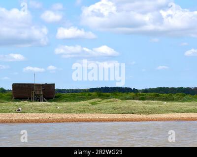 Orford, Suffolk - 21 Maggio 2023 : gita in barca sul fiume Alde da Orford Quay. Isola di Havergate protetta dalla RSPB. Foto Stock