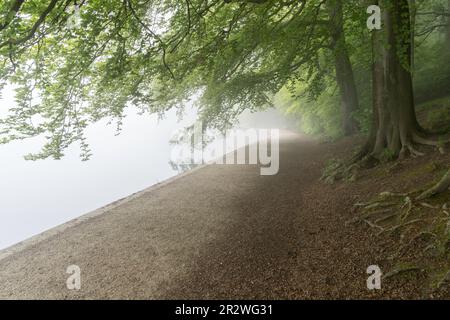 Un sentiero deserto sul lago in una giornata misteriosa a Roundhay Park, Leeds, Inghilterra, Regno Unito Foto Stock