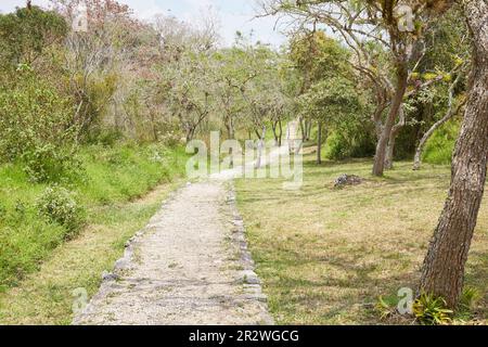 Le rovine maya trascurate di Chinkultic vicino al Parco Nazionale dei Laghi di Montebello in Chiapas Foto Stock