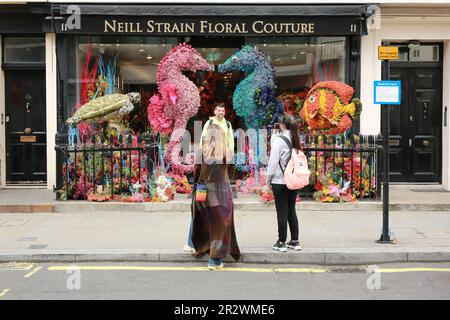 Londra, Regno Unito. 21 maggio 2023. Couture floreale Neill Strain. Il festival Belgravia in Bloom si terrà dal 22 al 29 maggio. Tornando per l’ottava volta con il tema ‘Into the Wild’, il festival vedrà Belgravia prendere vita con incredibili installazioni floreali. Le installazioni floreali locali coincidono con l'annuale RHS Chelsea Flower Show. Credit: Waldemar Sikora/Alamy Live News Foto Stock