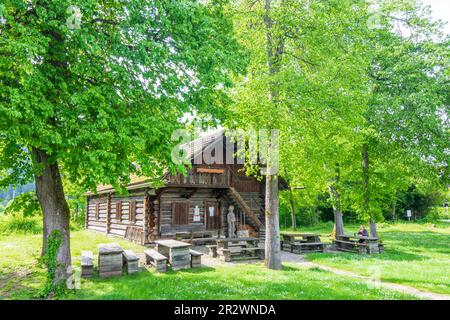 Bad Goisern am Hallstättersee: Holzknechmuseum (museo della tagliatrice di legno) a Salzkammergut, Oberösterreich, Austria superiore, Austria Foto Stock