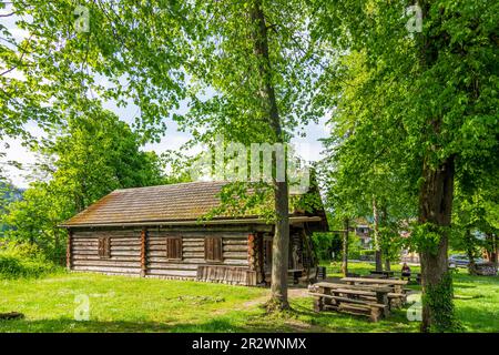 Bad Goisern am Hallstättersee: Holzknechmuseum (museo della tagliatrice di legno) a Salzkammergut, Oberösterreich, Austria superiore, Austria Foto Stock