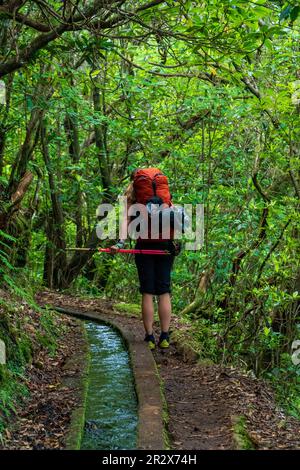 Portogallo- Madeira- Ribeiro Frio- escursionismo femminile con zaino in spalla lungo Levada do Furado nel Parco Naturale di Madeira Foto Stock