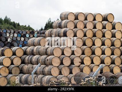 Craigellachie, Scozia - 4 ago 2022 - produzione tradizionale di botti di rovere per Scotch Malt Whisky presso la cooperativa Speyside di Craigellachie. Foto Stock