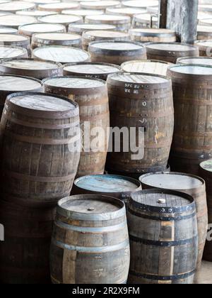 Craigellachie, Scozia - 4 ago 2022 - produzione tradizionale di botti di rovere per Scotch Malt Whisky presso la cooperativa Speyside di Craigellachie. Foto Stock