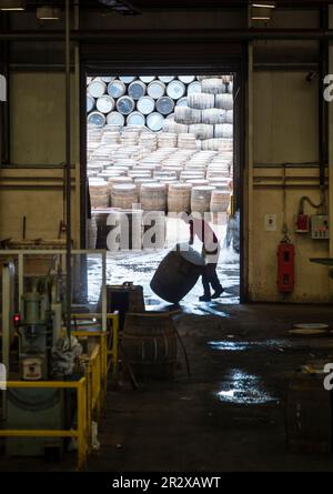 Craigellachie, Scozia - 4 ago 2022 - produzione tradizionale di botti di rovere per Scotch Malt Whisky presso la cooperativa Speyside di Craigellachie. Foto Stock