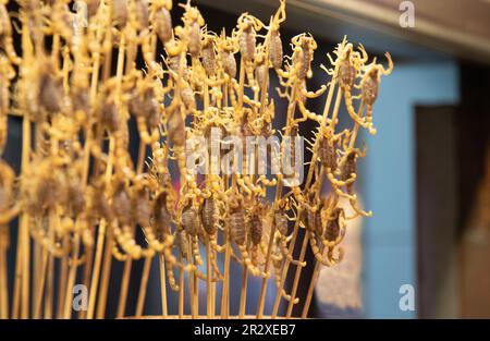 Cotti e gustosi piatti fritti scorpioni su un bastone. Una speciale cinese tradizionale cibo di strada Foto Stock