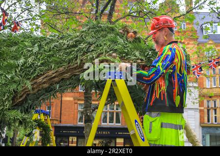 Londra, Regno Unito, 21st maggio 2023. Il maestro olandese Henck Röling, in uno dei suoi abiti tipicamente colorati, si vede vestire la mostra centrale su Sloane Square, ispirata al film Jurassic Park. Quest'anno il tema del festival è 'Fiori su Film'. Il Chelsea in Bloom è la mostra annuale gratuita di arte floreale, festival dei fiori e competizione espositore di Chelsea, che si svolge in parallelo al Chelsea Flower Show nelle vicinanze. Credit: Imageplotter/Alamy Live News Foto Stock