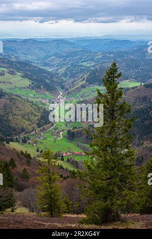 Splendida vista dal monte Belchengipfel nella Foresta Nera della Germania. Foto Stock
