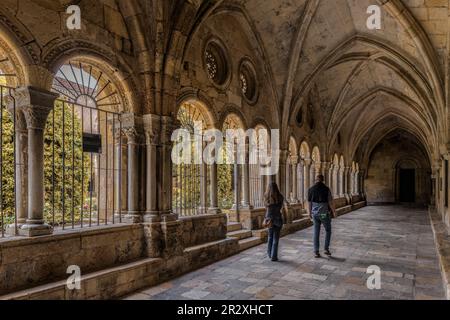 Cattedrale Basilica Metropolitan e Primate di Santa Tecla il più grande della Catalogna in stile gotico nella città di Tarragona, Catalogna, Spagna, Foto Stock