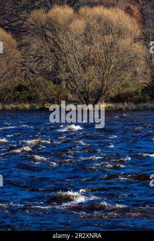 Fiume Spey nello Speyside della Scozia. Foto Stock