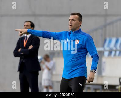 Budapest, Ungheria. 21st maggio, 2023. Aleksandar Lukovic, allenatore capo della Serbia, reagisce durante la partita di gruppo B del Campionato europeo UEFA Under-17 2023 tra Serbia e Italia allo stadio Hidegkuti Nandor il 21 maggio 2023 a Budapest, Ungheria. Credit: Laszlo Szirtesi/Alamy Live News Foto Stock