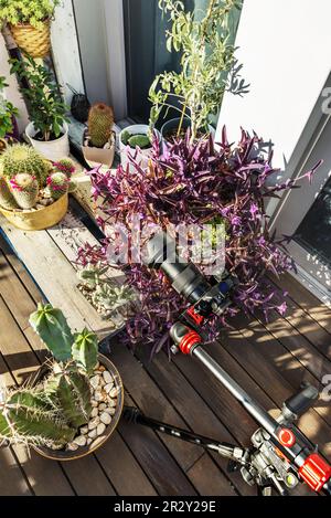 Una macchina fotografica montata su un treppiede con un braccio articolato per fotografare tutti i tipi di piante in diverse posizioni sulla terrazza di un attico con bosco Foto Stock