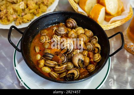 Cottura delle lumache d'uva in salsa piccante. Piatto tradizionale spagnolo Foto Stock