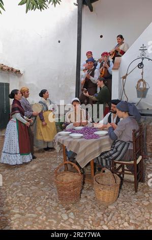 Scopare le macchine per fiori di zafferano, lavorazione dello zafferano, Consuegra, Fiesta de la Rosa del Azafran, Via Don Chisciotte, Provincia di Toledo, Castilla-la Mancha Foto Stock