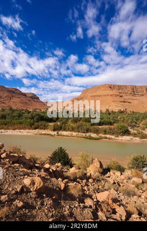 Fiume Ziz, Oued Ziz, Gorges du Ziz, Ziz Valley, Gole Ziz, Regione di Tafilalet, Nord Africa, Marocco Foto Stock