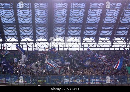 Milano, Italia. 20th maggio, 2023. Italia, Milano, maggio 20 2023: I sostenitori di Sampdoria sventolano le bandiere e mostrano gli striscioni negli stand durante la partita di calcio AC Milan vs Sampdoria, Serie A Tim 2022-2023 day36 stadio San Siro (Foto di Fabrizio Andrea Bertani/Pacific Press) Credit: Pacific Press Media Production Corp./Alamy Live News Foto Stock