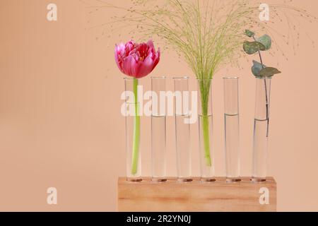 Provette con diverse piante in legno su fondo beige. Spazio per il testo Foto Stock