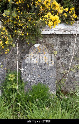 Il cimitero di Spike Island nella contea di Cork, Irlanda. Foto Stock