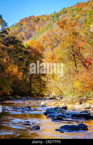 Vista panoramica del Big Laurel Creek nel North Carolina in autunno Foto Stock